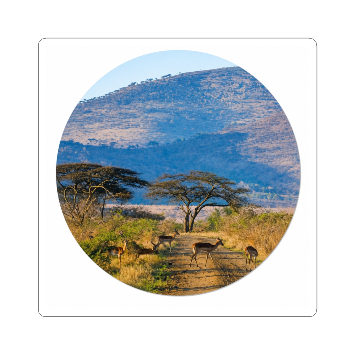 Impala (Aepyceros Melampus), Hluhluwe-Umfolozi Classic Round Sticker | Tame Impala